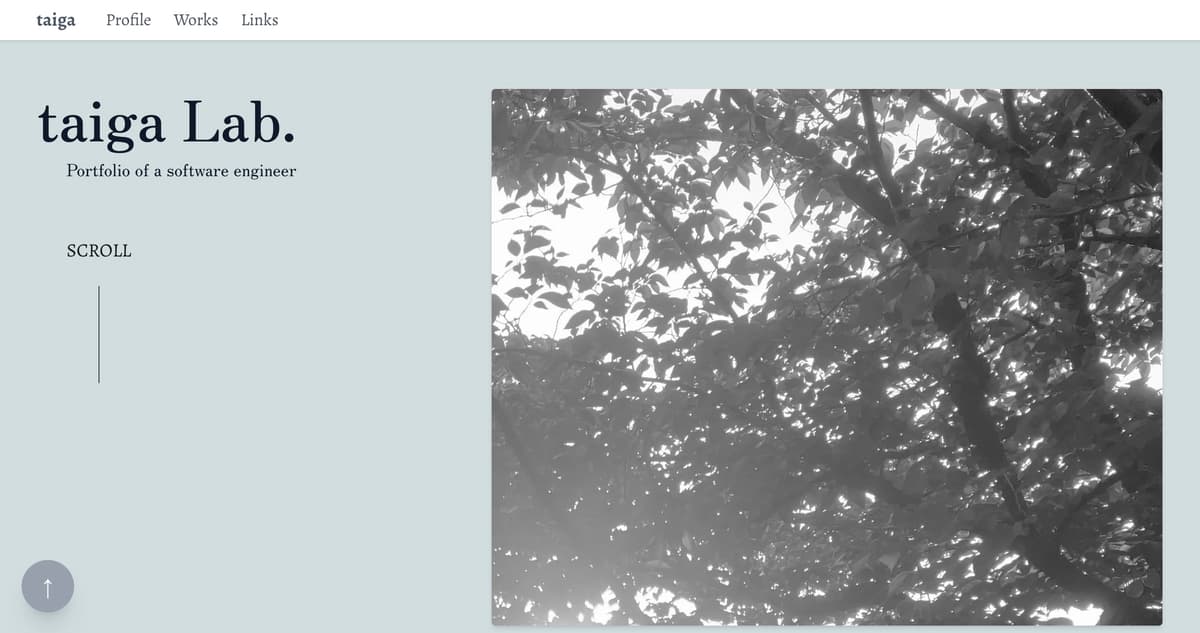 portfolio